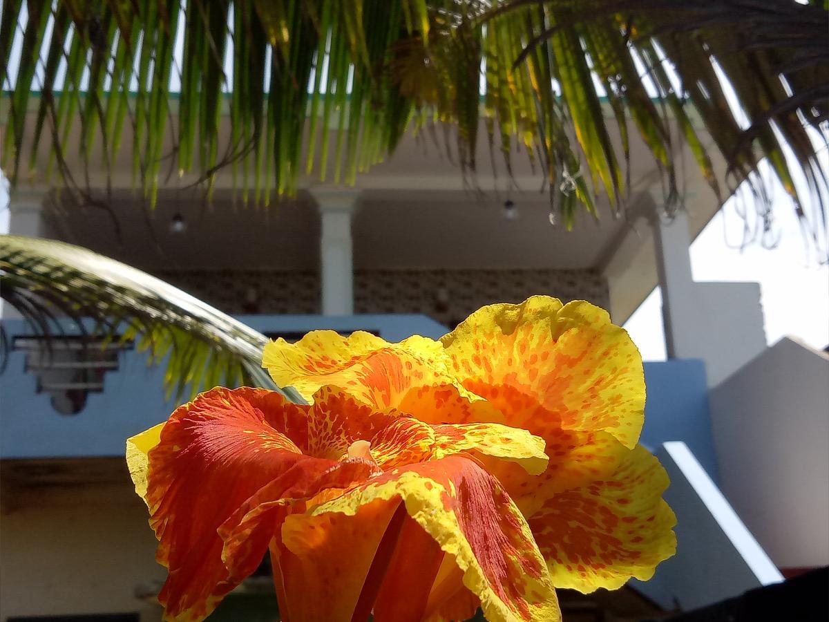 Githmini Beach House And Toures Hikkaduwa Ngoại thất bức ảnh